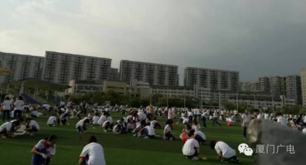 暖心暖城！现在才是厦门最美的样子～你瞧，台风过后“凤凰花”都开了...