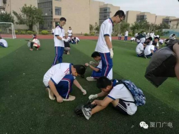 暖心暖城！现在才是厦门最美的样子～你瞧，台风过后“凤凰花”都开了...