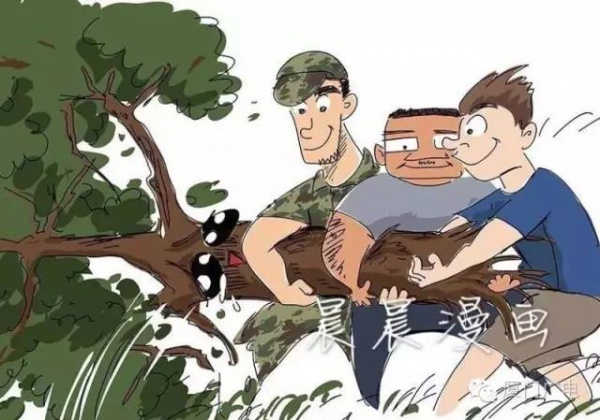 暖心暖城！现在才是厦门最美的样子～你瞧，台风过后“凤凰花”都开了...