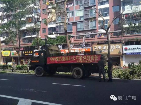 暖心暖城！现在才是厦门最美的样子～你瞧，台风过后“凤凰花”都开了...