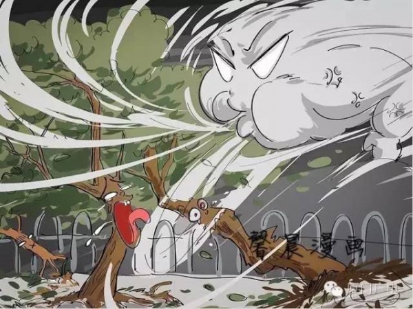 暖心暖城！现在才是厦门最美的样子～你瞧，台风过后“凤凰花”都开了...