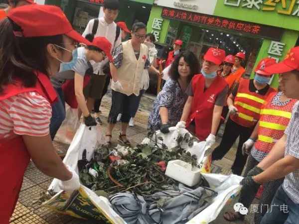 暖心暖城！现在才是厦门最美的样子～你瞧，台风过后“凤凰花”都开了...