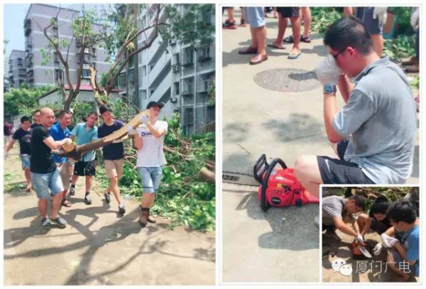 暖心暖城！现在才是厦门最美的样子～你瞧，台风过后“凤凰花”都开了...