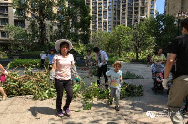 暖心暖城！现在才是厦门最美的样子～你瞧，台风过后“凤凰花”都开了...