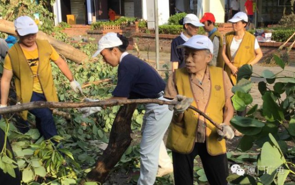 暖心暖城！现在才是厦门最美的样子～你瞧，台风过后“凤凰花”都开了...
