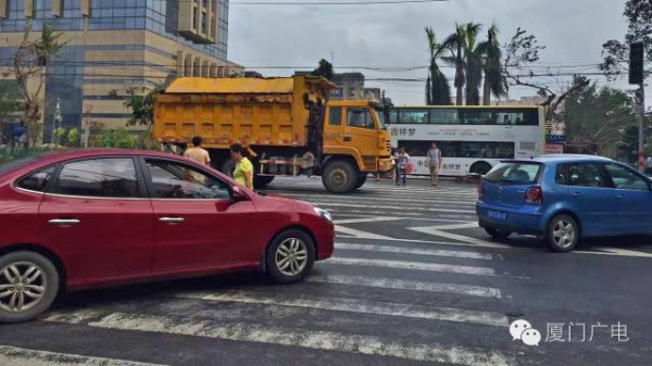 暖心暖城！现在才是厦门最美的样子～你瞧，台风过后“凤凰花”都开了...