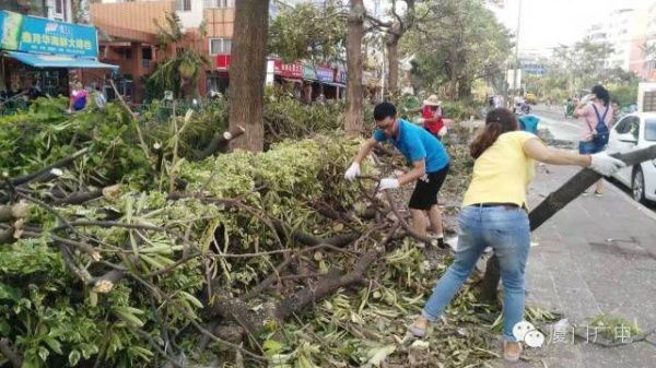 暖心暖城！现在才是厦门最美的样子～你瞧，台风过后“凤凰花”都开了...