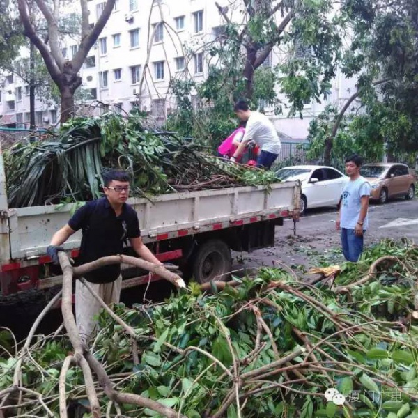 暖心暖城！现在才是厦门最美的样子～你瞧，台风过后“凤凰花”都开了...