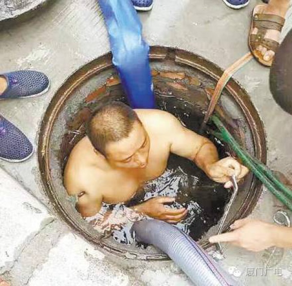 暖心暖城！现在才是厦门最美的样子～你瞧，台风过后“凤凰花”都开了...