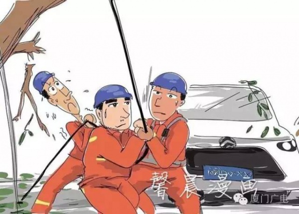 暖心暖城！现在才是厦门最美的样子～你瞧，台风过后“凤凰花”都开了...