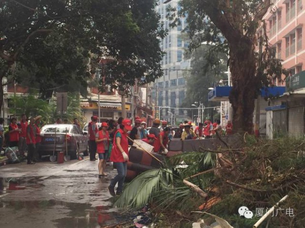 暖心暖城！现在才是厦门最美的样子～你瞧，台风过后“凤凰花”都开了...