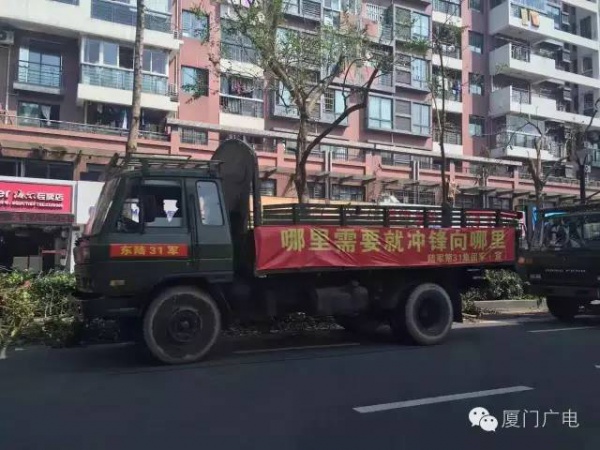 暖心暖城！现在才是厦门最美的样子～你瞧，台风过后“凤凰花”都开了...