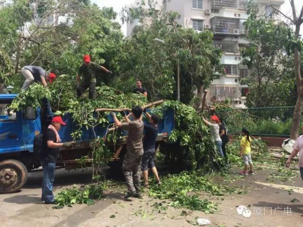 暖心暖城！现在才是厦门最美的样子～你瞧，台风过后“凤凰花”都开了...
