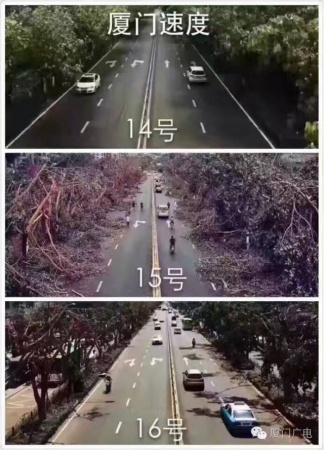 暖心暖城！现在才是厦门最美的样子～你瞧，台风过后“凤凰花”都开了...