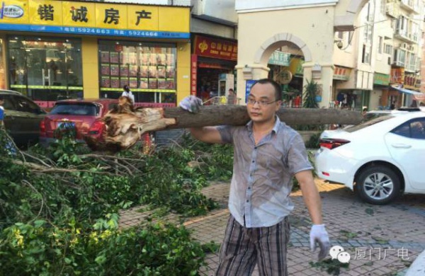 暖心暖城！现在才是厦门最美的样子～你瞧，台风过后“凤凰花”都开了...