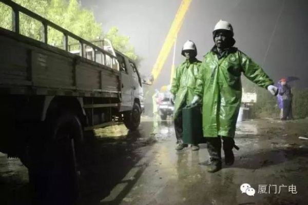 暖心暖城！现在才是厦门最美的样子～你瞧，台风过后“凤凰花”都开了...