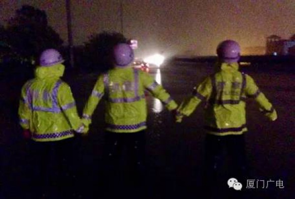 暖心暖城！现在才是厦门最美的样子～你瞧，台风过后“凤凰花”都开了...