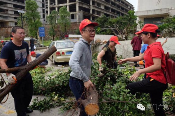 暖心暖城！现在才是厦门最美的样子～你瞧，台风过后“凤凰花”都开了...