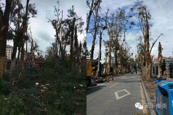 你听说过“集美速度”吗？看完台风后的集美交通你就明白……