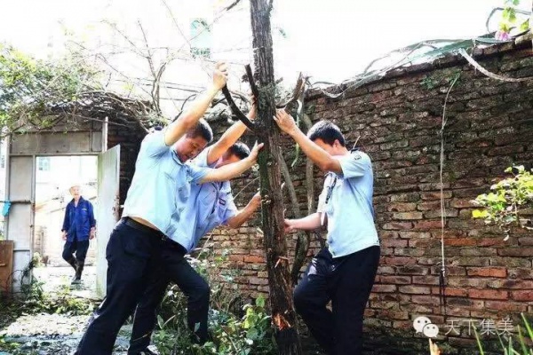 你听说过“集美速度”吗？看完台风后的集美交通你就明白……