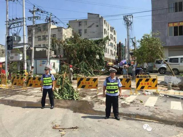 你听说过“集美速度”吗？看完台风后的集美交通你就明白……