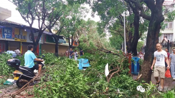 大量独家航拍：超强台风“莫兰蒂”过境后，集美12小时震撼实景……