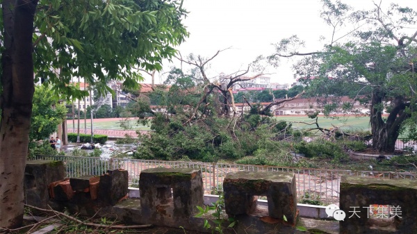 大量独家航拍：超强台风“莫兰蒂”过境后，集美12小时震撼实景……