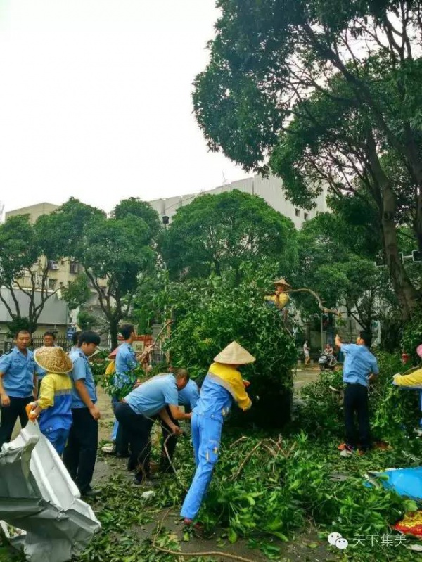 大量独家航拍：超强台风“莫兰蒂”过境后，集美12小时震撼实景……