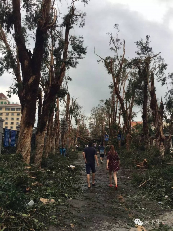 大量独家航拍：超强台风“莫兰蒂”过境后，集美12小时震撼实景……