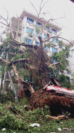 大量独家航拍：超强台风“莫兰蒂”过境后，集美12小时震撼实景……