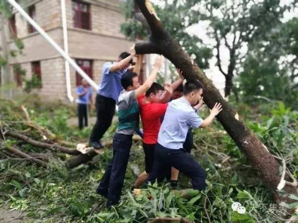 大量独家航拍：超强台风“莫兰蒂”过境后，集美12小时震撼实景……
