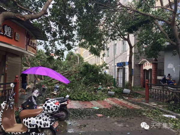 大量独家航拍：超强台风“莫兰蒂”过境后，集美12小时震撼实景……