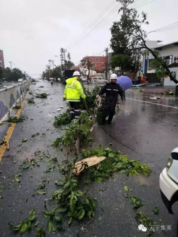 大量独家航拍：超强台风“莫兰蒂”过境后，集美12小时震撼实景……