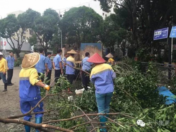 大量独家航拍：超强台风“莫兰蒂”过境后，集美12小时震撼实景……