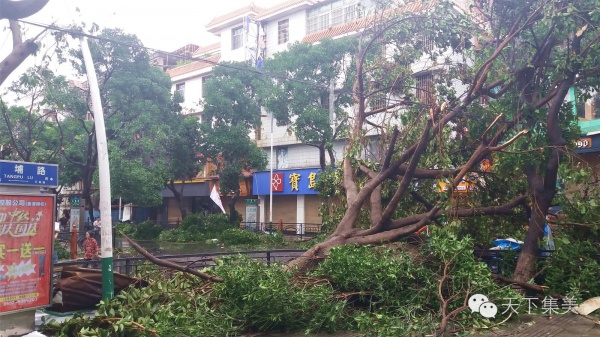 大量独家航拍：超强台风“莫兰蒂”过境后，集美12小时震撼实景……