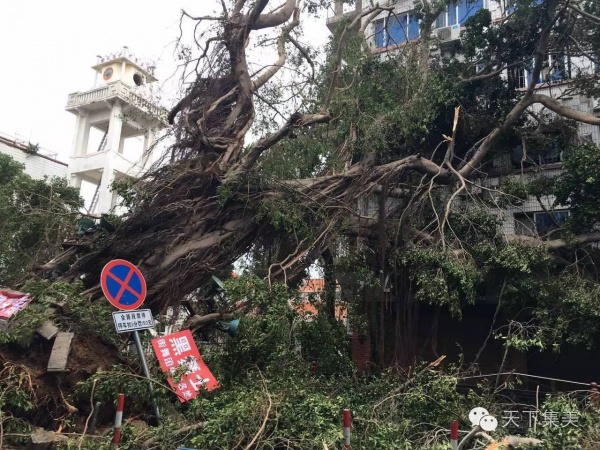 大量独家航拍：超强台风“莫兰蒂”过境后，集美12小时震撼实景……