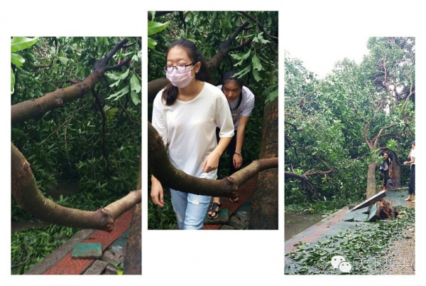 大量独家航拍：超强台风“莫兰蒂”过境后，集美12小时震撼实景……