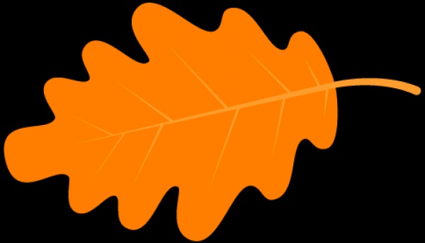 极美！台风后集美大学惊现“彩虹”，引网友围观点赞！