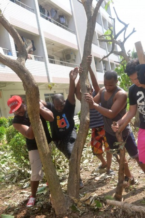 极美！台风后集美大学惊现“彩虹”，引网友围观点赞！