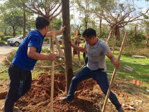 极美！台风后集美大学惊现“彩虹”，引网友围观点赞！
