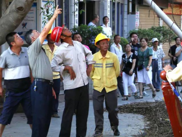 从前，学村有个地方叫石鼓路大榕树……今天大榕树搬家了！