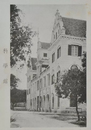 学村印象｜原来，石鼓路不仅有大榕树，还有个“小巴黎”……