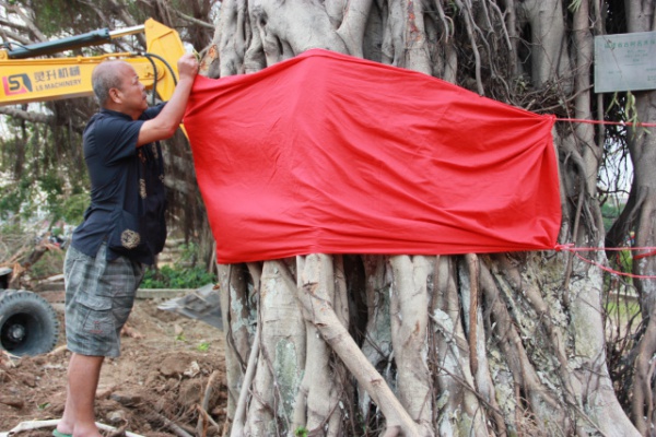 学村印象｜原来，石鼓路不仅有大榕树，还有个“小巴黎”……