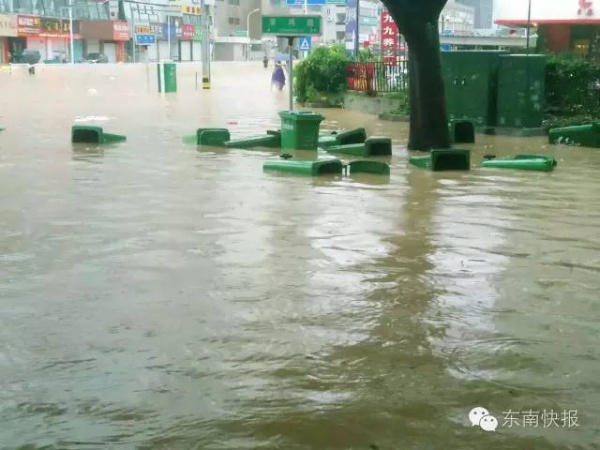 一条鲇鱼淹几座城，新台风紧随其后！厦门从不缺段子手...