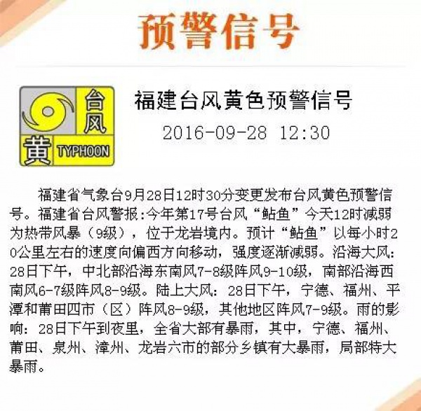 一条鲇鱼淹几座城，新台风紧随其后！厦门从不缺段子手...