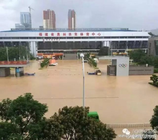 一条鲇鱼淹几座城，新台风紧随其后！厦门从不缺段子手...