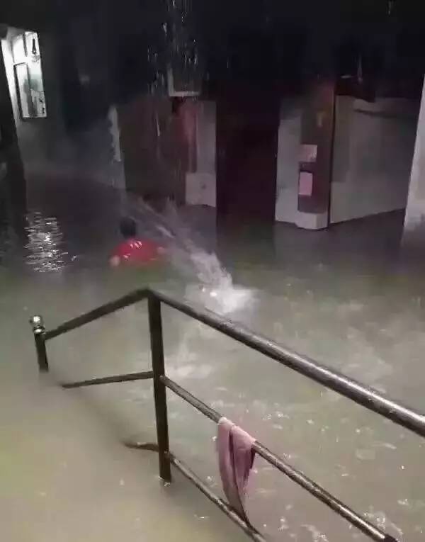 一条鲇鱼淹几座城，新台风紧随其后！厦门从不缺段子手...
