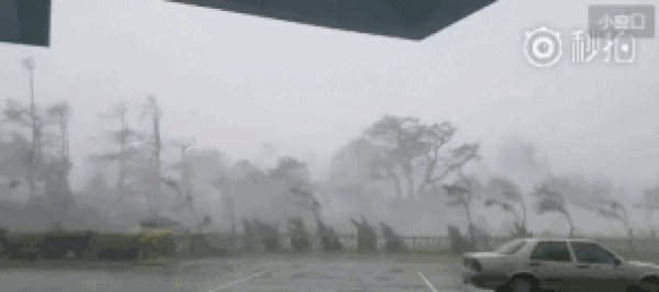 一条鲇鱼淹几座城，新台风紧随其后！厦门从不缺段子手...