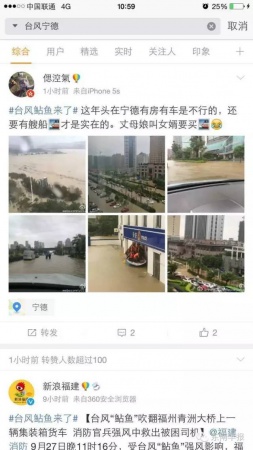 一条鲇鱼淹几座城，新台风紧随其后！厦门从不缺段子手...