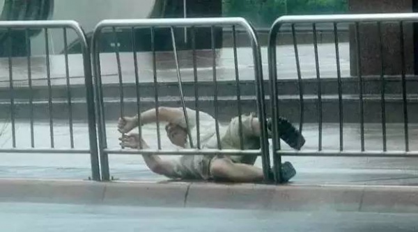 一条鲇鱼淹几座城，新台风紧随其后！厦门从不缺段子手...